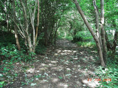 
Abersychan incline, lower section, June 2008